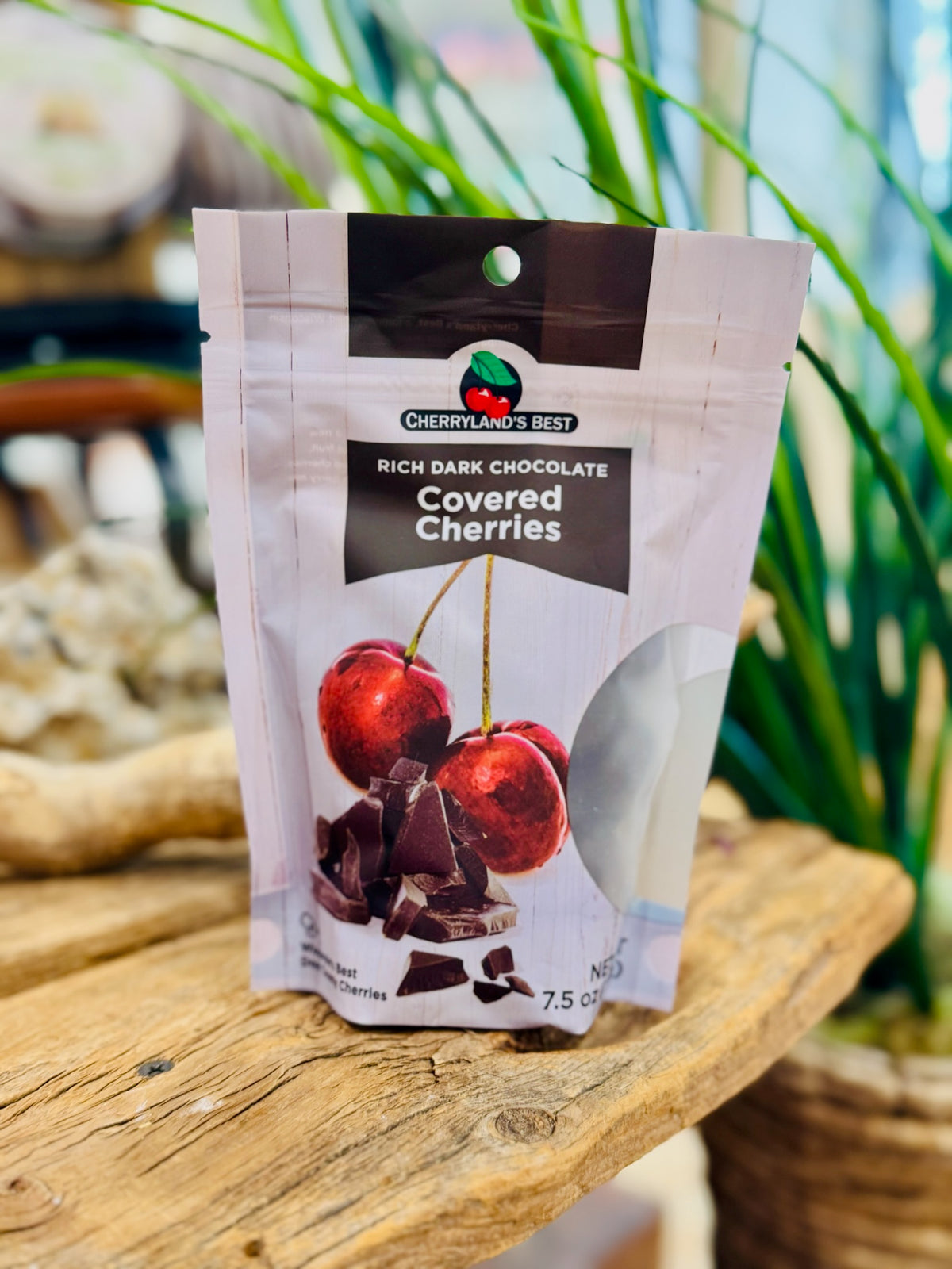 Dark Chocolate Covered Cherries