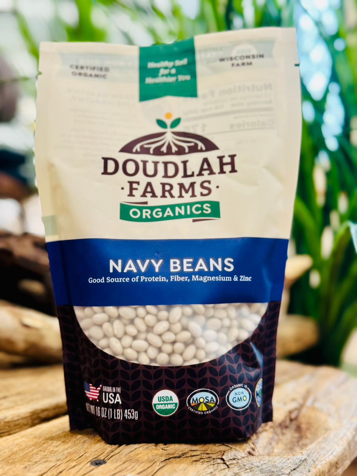 Navy Beans