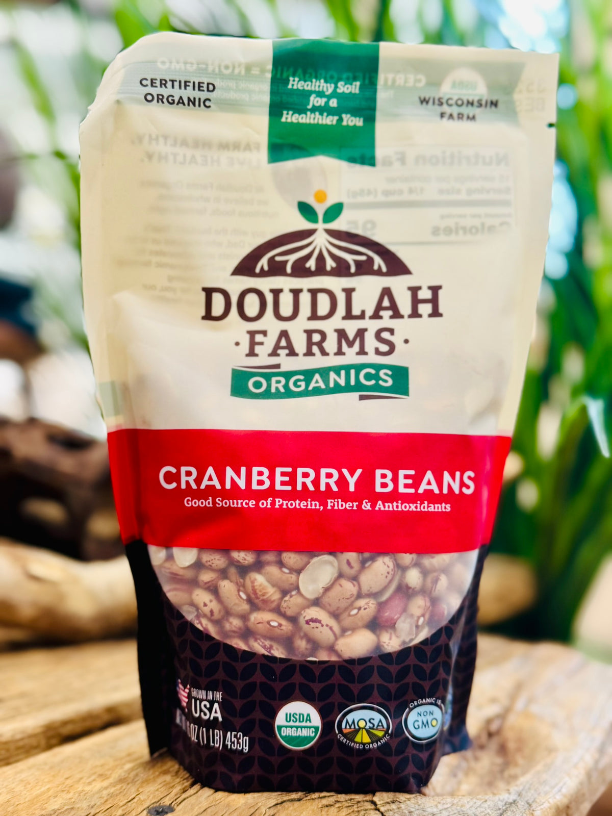 Cranberry Beans