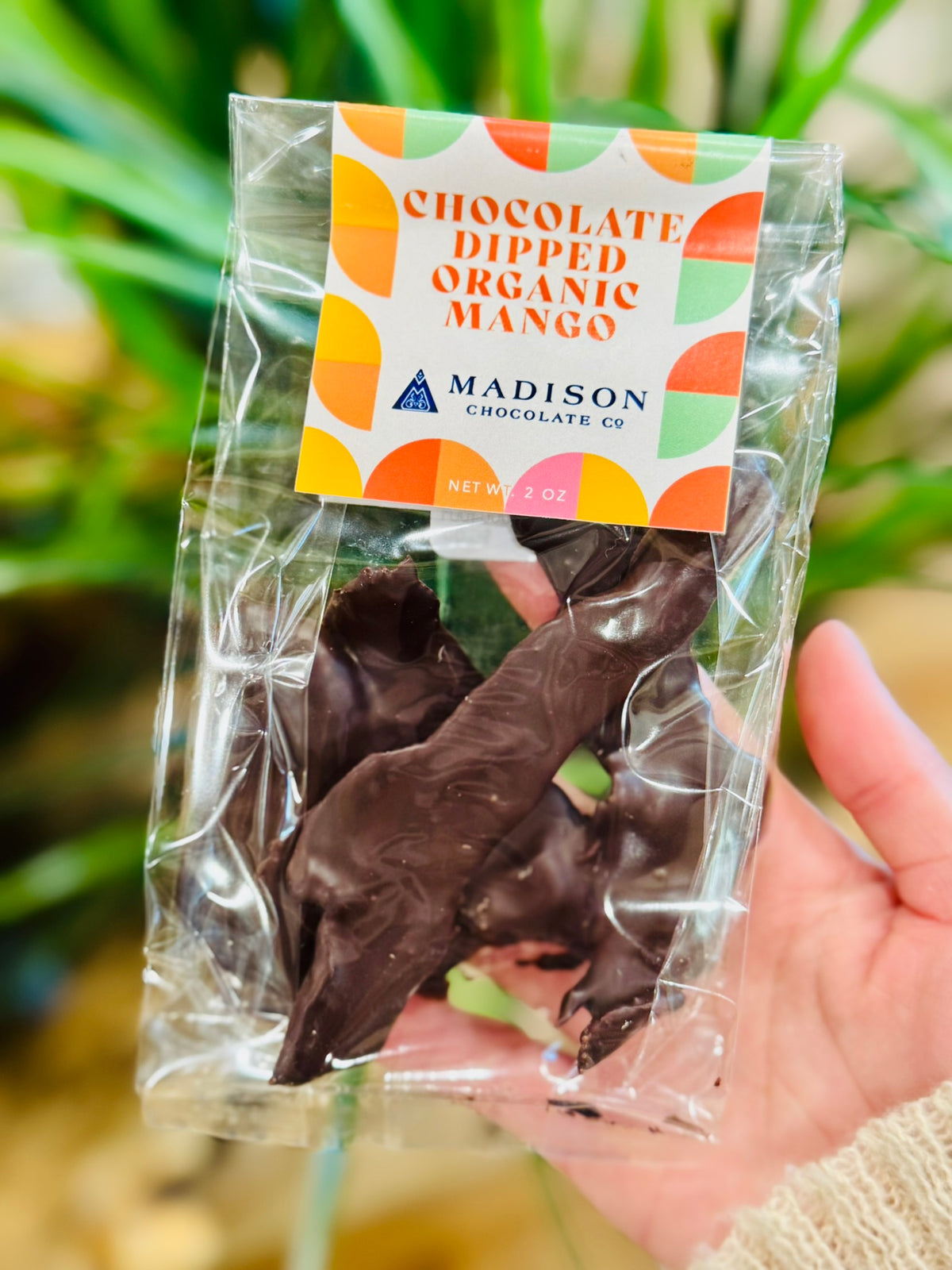Chocolate Dipped Mango
