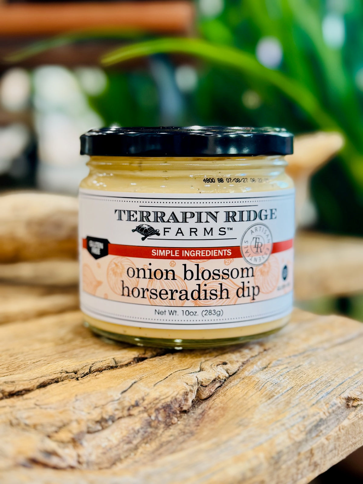 Onion Blossom Horseradish Dip